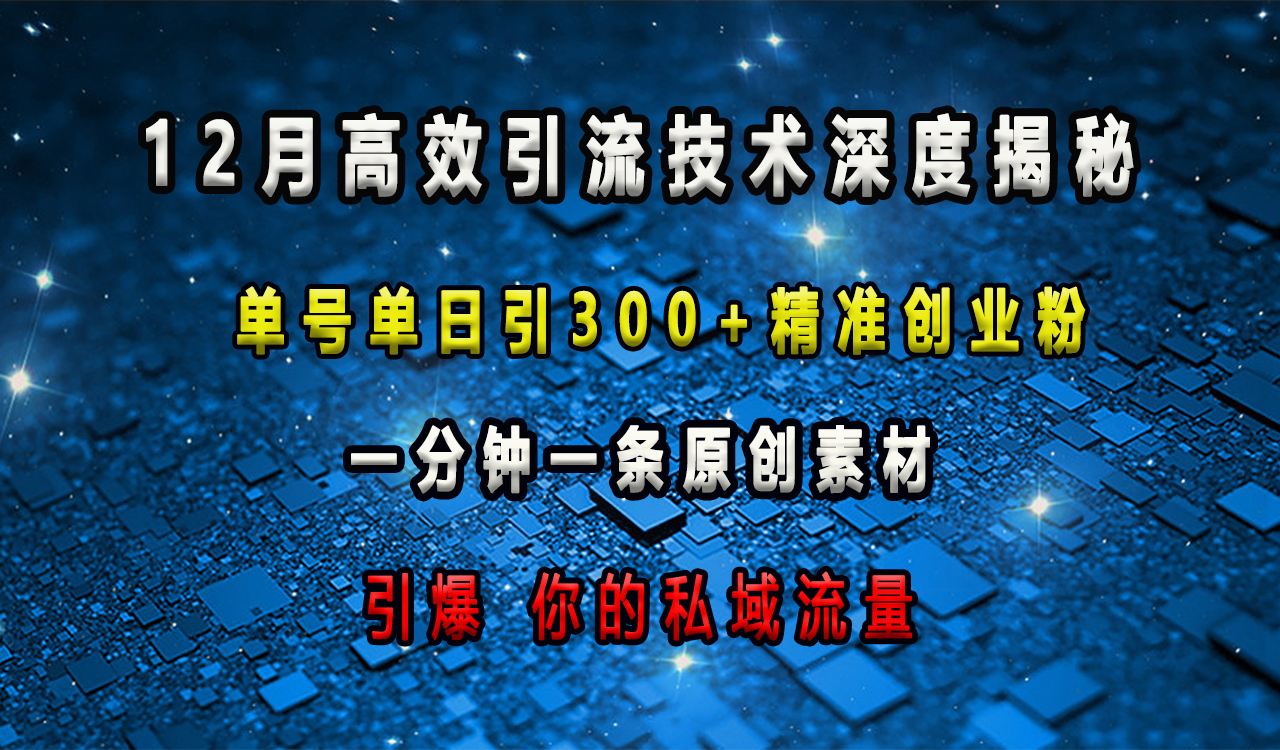 12月高效引流技术深度揭秘 ,单号单日引300+精准创业粉,一分钟一条原创素材,引爆你的私域流量躺盈网-网创项目资源站-副业项目-创业项目-搞钱项目躺盈网