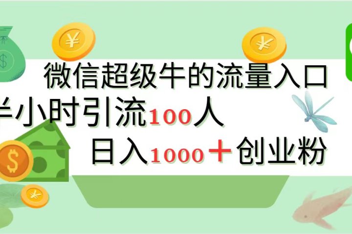 新的引流变现阵地,微信超级牛的流量入口,半小时引流100人,日入1000+创业粉躺盈网-网创项目资源站-副业项目-创业项目-搞钱项目躺盈网