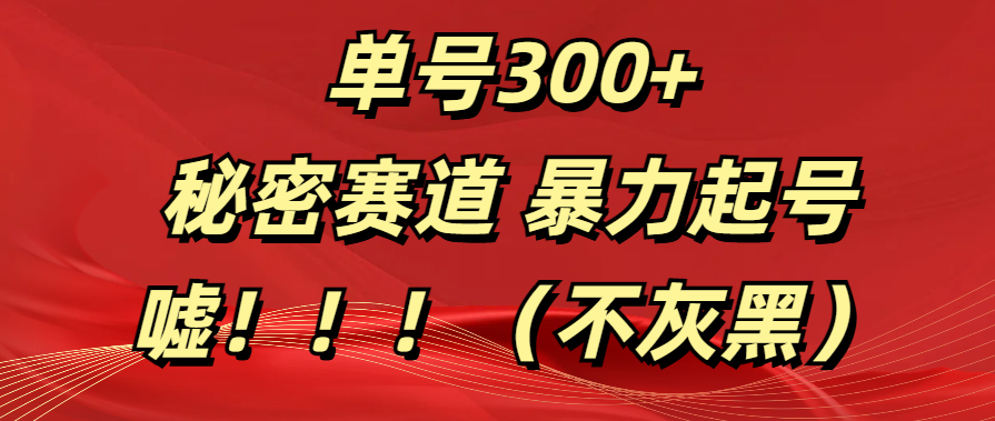 单号300+ 秘密赛道 暴力起号 (不灰黑)躺盈网-网创项目资源站-副业项目-创业项目-搞钱项目躺盈网