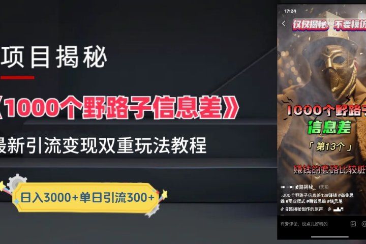 抖音最新一千个野路子玩法教程，变现+引流双重玩法，野路子信息差躺盈网-网创项目资源站-副业项目-创业项目-搞钱项目躺盈网