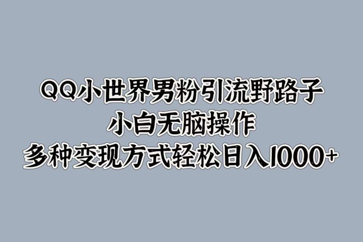 QQ小世界男粉引流野路子,小白无脑操作,多种变现方式轻松日入1000+躺盈网-网创项目资源站-副业项目-创业项目-搞钱项目躺盈网