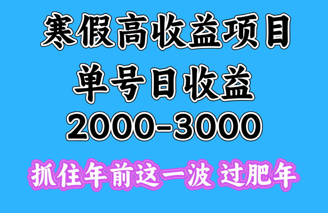寒假期间一天收益2000-3000+,抓住年前这一波躺盈网-网创项目资源站-副业项目-创业项目-搞钱项目躺盈网