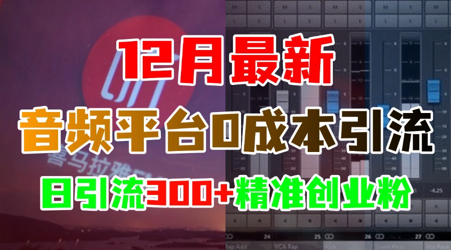 12月最新:音频平台0成本引流,日引300+精准创业粉躺盈网-网创项目资源站-副业项目-创业项目-搞钱项目躺盈网