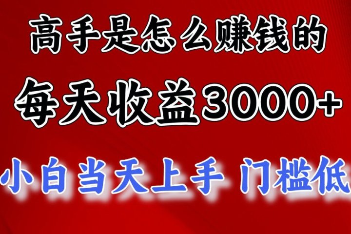 快速掘金项目,上手熟练后日收益1500-3000躺盈网-网创项目资源站-副业项目-创业项目-搞钱项目躺盈网