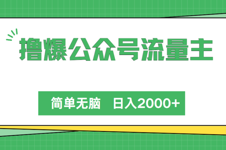 撸爆公众号流量主,简单无脑,单日变现2000+躺盈网-网创项目资源站-副业项目-创业项目-搞钱项目躺盈网