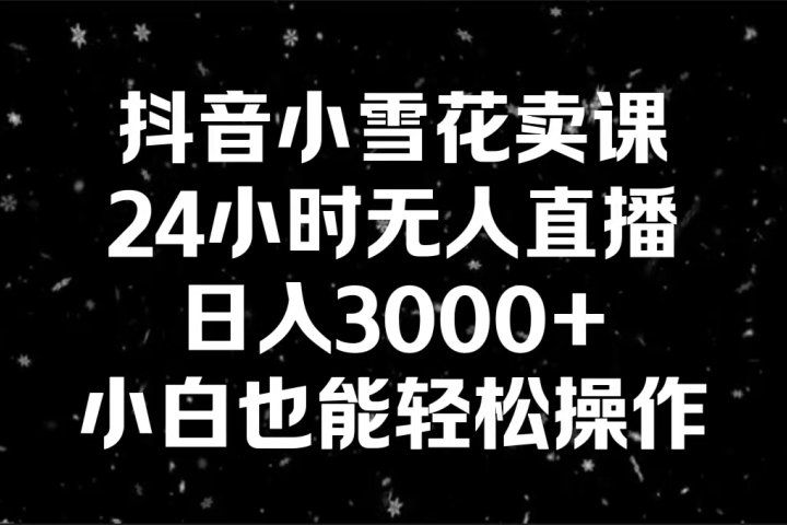 抖音小雪花卖课，24小时无人直播，日入3000+,小白也能轻松操作躺盈网-网创项目资源站-副业项目-创业项目-搞钱项目躺盈网