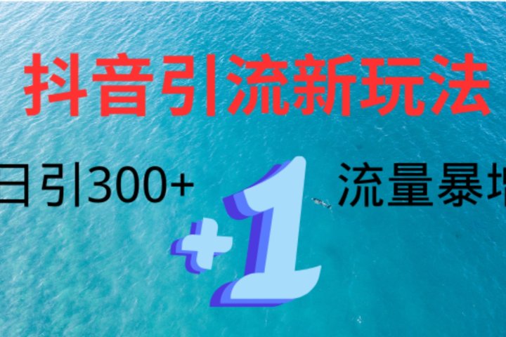 创业粉高效引流,抖音工具号玩法4.0,日引300+躺盈网-网创项目资源站-副业项目-创业项目-搞钱项目躺盈网