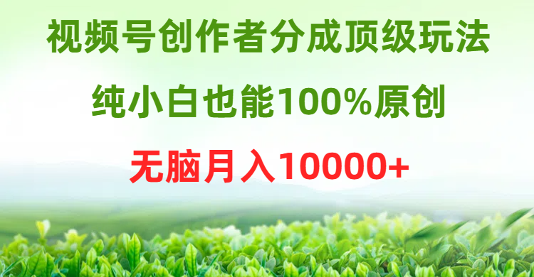 视频号创作者分成顶级玩法，纯小白也能100%原创，无脑月入10000+躺盈网-网创项目资源站-副业项目-创业项目-搞钱项目躺盈网