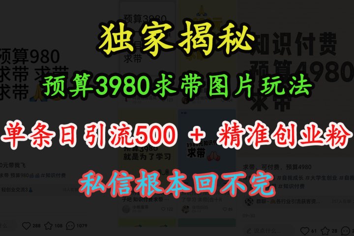 “小红书”预算3980求带 图片玩法,单条日引流500+精准创业粉,私信根本回不完躺盈网-网创项目资源站-副业项目-创业项目-搞钱项目躺盈网