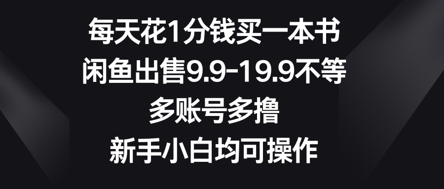 每天花1分钱买一本书，闲鱼出售9.9-19.9不等，多账号多撸，新手小白均可操作躺盈网-网创项目资源站-副业项目-创业项目-搞钱项目躺盈网