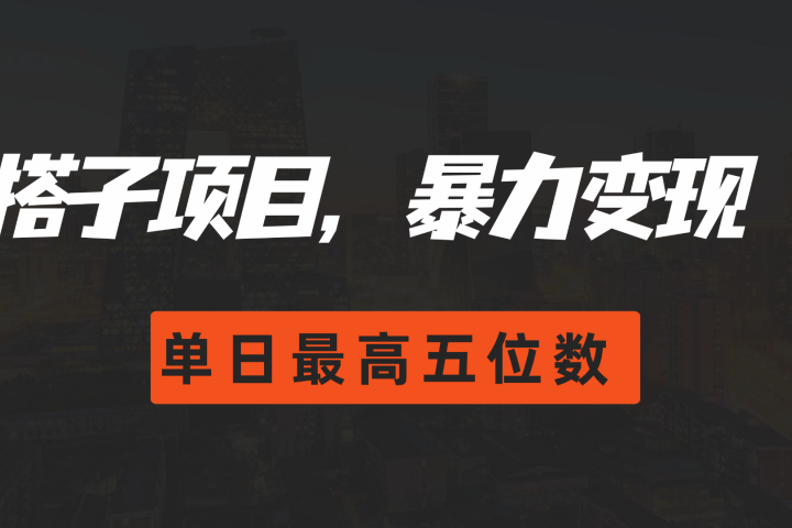 搭子项目,暴力变现,单日最高破五位数躺盈网-网创项目资源站-副业项目-创业项目-搞钱项目躺盈网