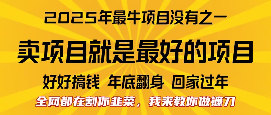 全网都在割你韭菜,我来教你做镰刀。卖项目就是最好的项目,2025年最牛互联网项目躺盈网-网创项目资源站-副业项目-创业项目-搞钱项目躺盈网