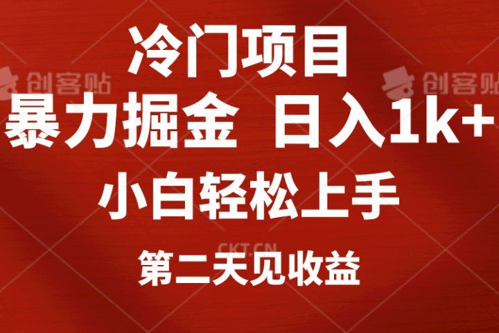 冷门项目,靠一款软件日入1000+暴力掘金小白轻松上手,第二天见收益躺盈网-网创项目资源站-副业项目-创业项目-搞钱项目躺盈网