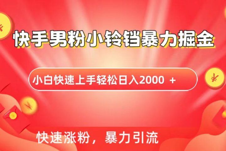快手小铃铛男粉暴力直播躺盈网-网创项目资源站-副业项目-创业项目-搞钱项目躺盈网