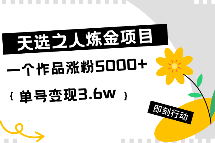 天选之人炼金项目，一个作品涨粉5000+，单号变现3.6w躺盈网-网创项目资源站-副业项目-创业项目-搞钱项目躺盈网