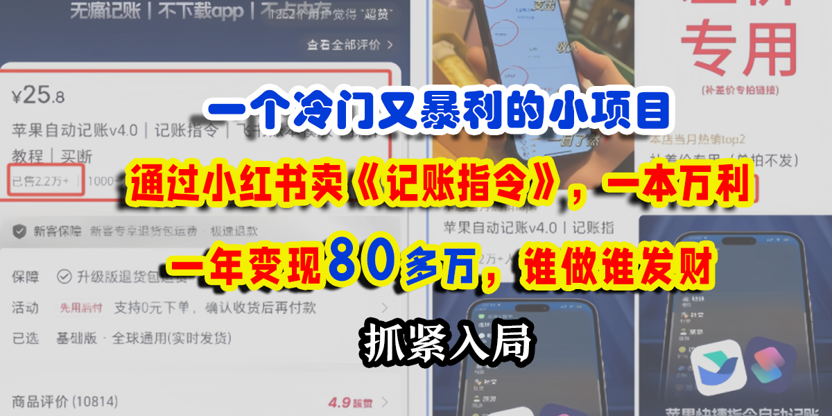 一个冷门又暴利的小项目,通过小红书卖《记账指令》,一本万利,一年变现80多万,谁做谁发财躺盈网-网创项目资源站-副业项目-创业项目-搞钱项目躺盈网