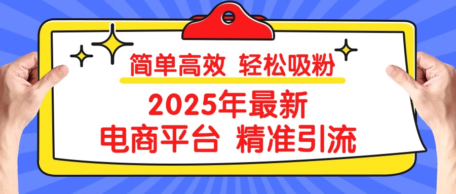 2025年最新电商平台精准引流 简单高效 轻松吸粉躺盈网-网创项目资源站-副业项目-创业项目-搞钱项目躺盈网