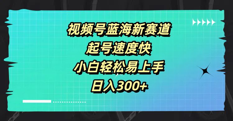 视频号蓝海新赛道,起号速度快,小白轻松易上手,日入300+躺盈网-网创项目资源站-副业项目-创业项目-搞钱项目躺盈网
