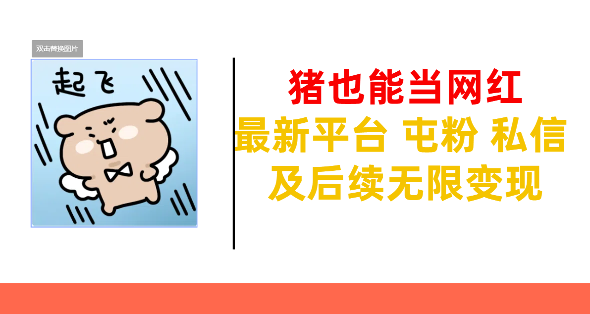 猪也能当网红-最新平台 屯粉 交流 私信 及后续无限变现躺盈网-网创项目资源站-副业项目-创业项目-搞钱项目躺盈网