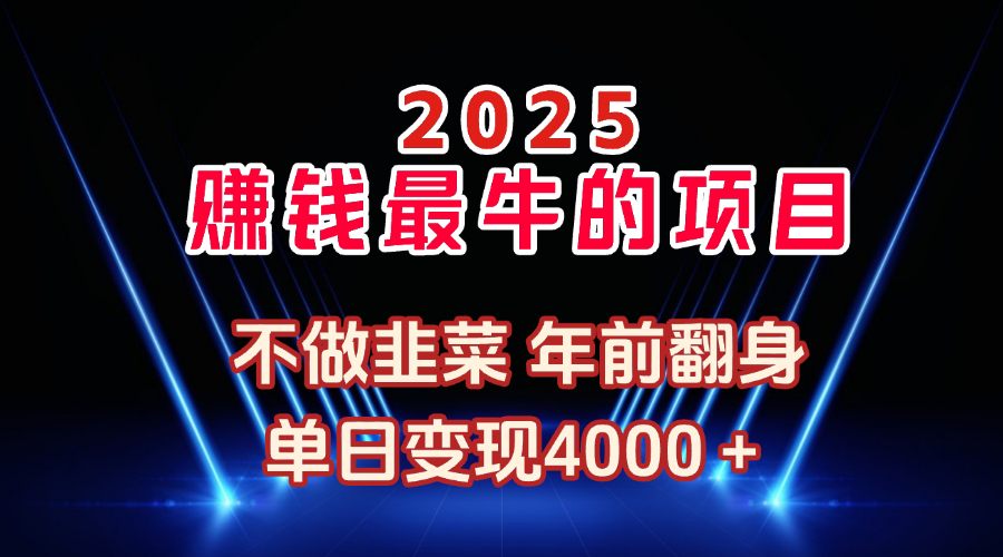 2025年赚钱最牛的项目 不做韭菜 年前翻身躺盈网-网创项目资源站-副业项目-创业项目-搞钱项目躺盈网