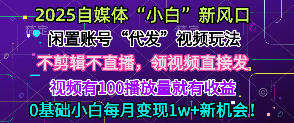 2025每月躺赚5w+新机会，闲置视频账号一键代发玩法，0粉不实名不剪辑，领了视频直接发，0基础小白也能日入300+躺盈网-网创项目资源站-副业项目-创业项目-搞钱项目躺盈网