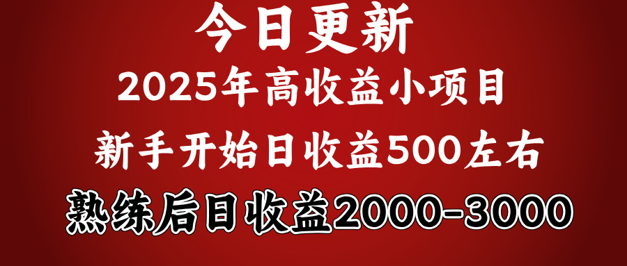 好项目一眼就能看出来，日收益1000，长久可做，2025拼的就是我比你勤奋躺盈网-网创项目资源站-副业项目-创业项目-搞钱项目躺盈网