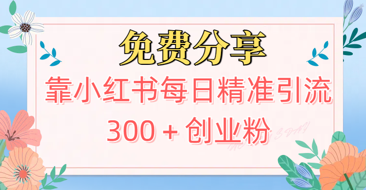 2025最新引流!靠小红书每日精准引流300+创业粉躺盈网-网创项目资源站-副业项目-创业项目-搞钱项目躺盈网