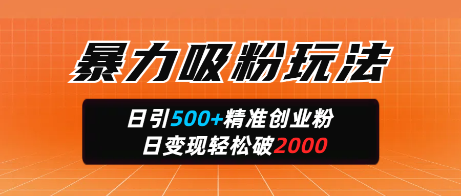暴力吸粉玩法,日引500+精准创业粉,日变现轻松破2000躺盈网-网创项目资源站-副业项目-创业项目-搞钱项目躺盈网