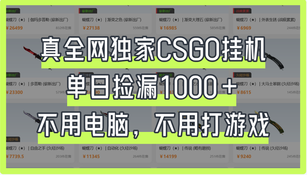 真全网独家CSGO挂机,单日捡漏1000+躺盈网-网创项目资源站-副业项目-创业项目-搞钱项目躺盈网