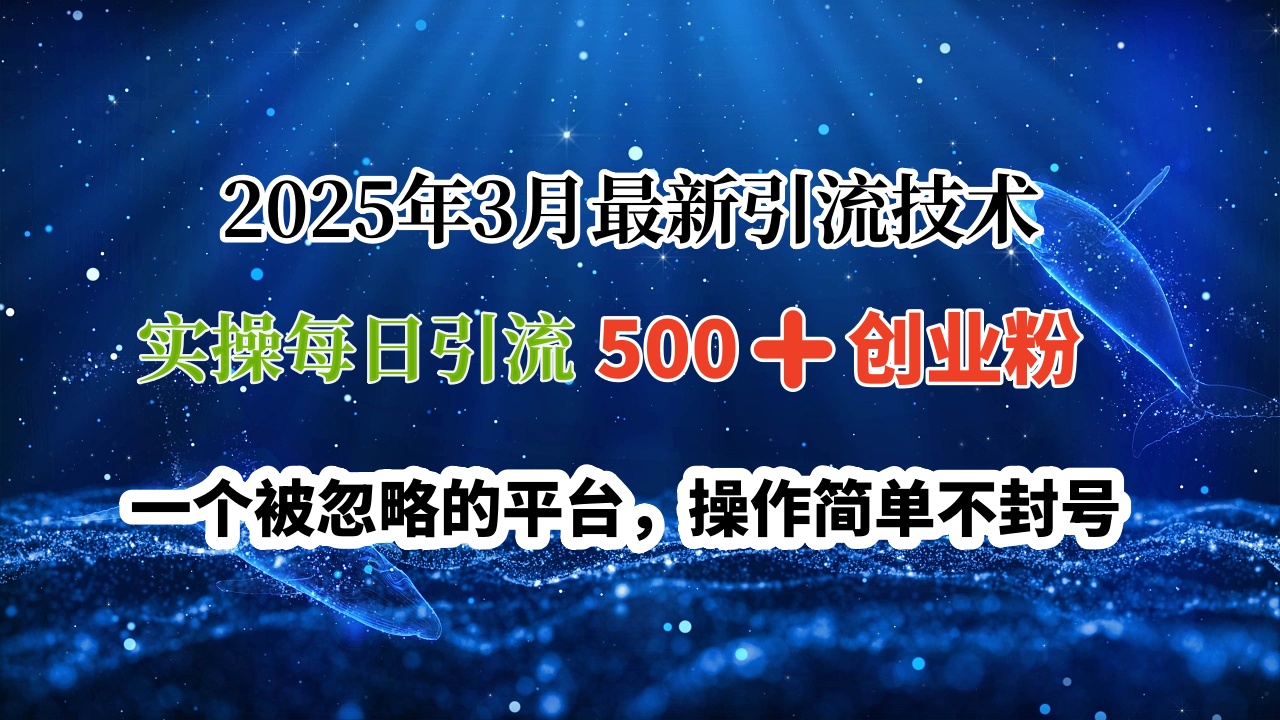 2025年3月最新引流技术,实操每日引流500➕创业粉,一个被忽略的平台,操作简单不封号躺盈网-网创项目资源站-副业项目-创业项目-搞钱项目躺盈网