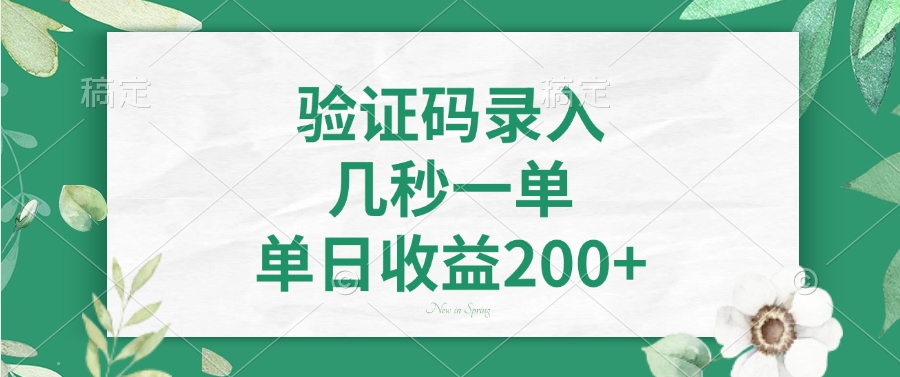 验证码录入，几秒一单，单日收益200+躺盈网-网创项目资源站-副业项目-创业项目-搞钱项目躺盈网