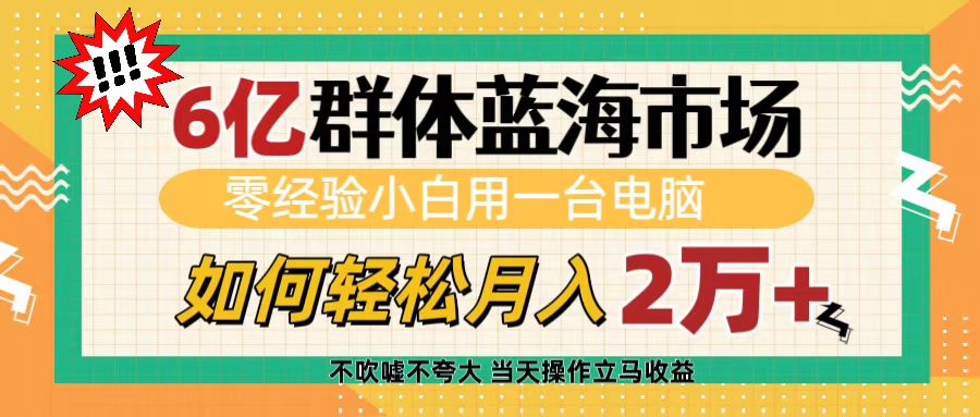6亿群体蓝海市场,零经验小白用一台电脑,如何轻松月入2万+躺盈网-网创项目资源站-副业项目-创业项目-搞钱项目躺盈网