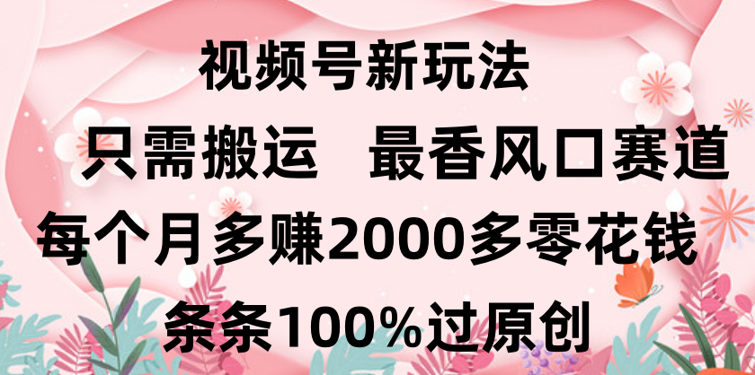 日入2000+，条条100%过原创，视频号最香风口赛道，小白轻松上手躺盈网-网创项目资源站-副业项目-创业项目-搞钱项目躺盈网