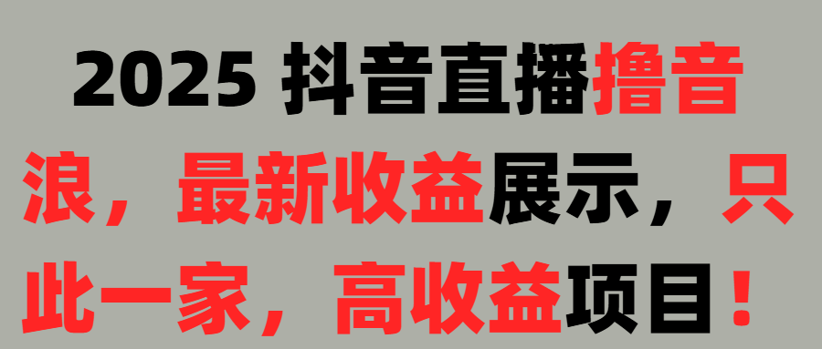 2025 抖音直播撸音浪，最新收益展示，只此一家，高收益项目！躺盈网-网创项目资源站-副业项目-创业项目-搞钱项目躺盈网