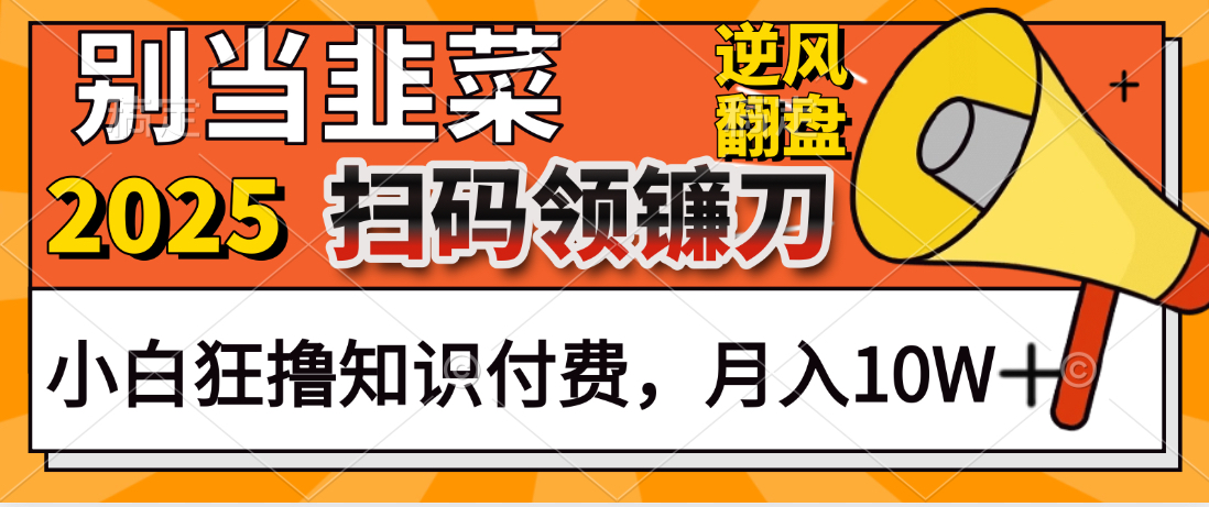 2025别当韭菜!扫码领镰刀!小白狂撸知识付费月入10W+躺盈网-网创项目资源站-副业项目-创业项目-搞钱项目躺盈网