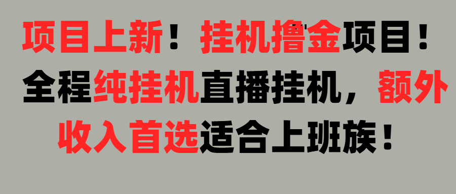 项目上新！挂机撸金项目！全程纯挂机直播挂机，额外收入首选，适合上班族！躺盈网-网创项目资源站-副业项目-创业项目-搞钱项目躺盈网