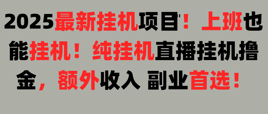 2025上班也能挂机！24小时！纯挂机直播挂机撸金！躺盈网-网创项目资源站-副业项目-创业项目-搞钱项目躺盈网