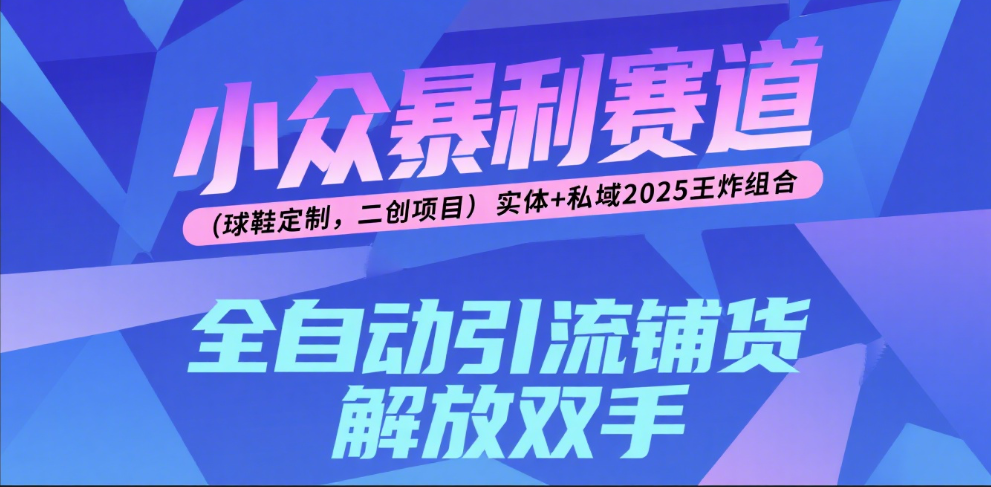 楠—小众暴利赛道（球鞋定制，二创项目）实体+私域2025王炸组合躺盈网-网创项目资源站-副业项目-创业项目-搞钱项目躺盈网