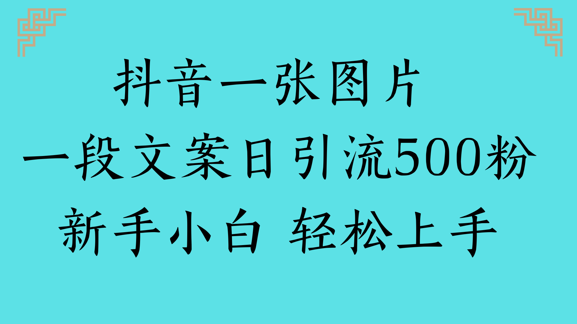抖音一张图片 一段文案日引流500粉新手小白 轻松上手躺盈网-网创项目资源站-副业项目-创业项目-搞钱项目躺盈网