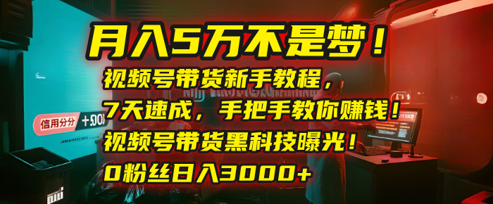 月入5万不是梦!视频号带货新手教程,7天速成,手把手教你赚钱!视频号带货黑科技曝光!0粉丝日入3000+躺盈网-网创项目资源站-副业项目-创业项目-搞钱项目躺盈网