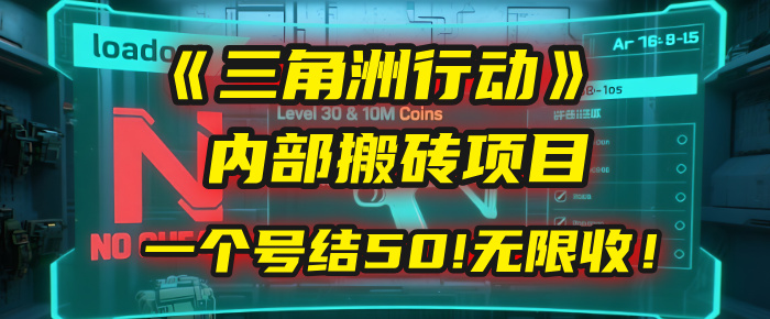 《三角洲行动》内部搬砖项目：打一个号，结50块，无限收！躺盈网-网创项目资源站-副业项目-创业项目-搞钱项目躺盈网