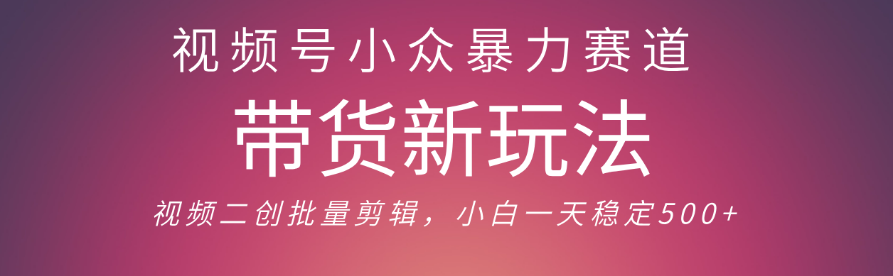 视频号小众暴力赛道,最新带货玩法 小白也能轻松日入500+ 保姆及教程躺盈网-网创项目资源站-副业项目-创业项目-搞钱项目躺盈网