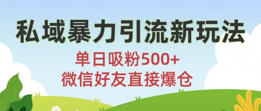 私域暴力引流新玩法!单日吸粉500+,微信好友直接爆仓躺盈网-网创项目资源站-副业项目-创业项目-搞钱项目躺盈网