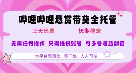 2025年B站风口带货项目 仅需提供账号 全程托管 轻松月入1w+躺盈网-网创项目资源站-副业项目-创业项目-搞钱项目躺盈网