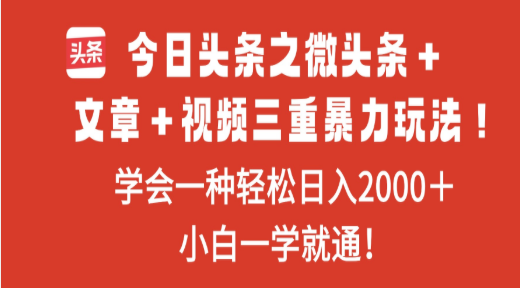 今日头条之微头条＋文章＋视频三重暴力玩法，学会一种轻松日入2000＋躺盈网-网创项目资源站-副业项目-创业项目-搞钱项目躺盈网